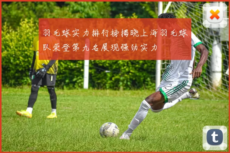 羽毛球实力排行榜揭晓上海羽毛球队荣登第九名展现强劲实力