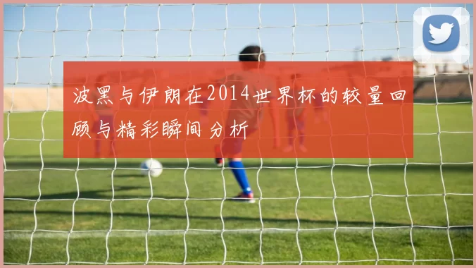 波黑与伊朗在2014世界杯的较量回顾与精彩瞬间分析