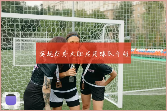 英超新秀大胆启用球队介绍