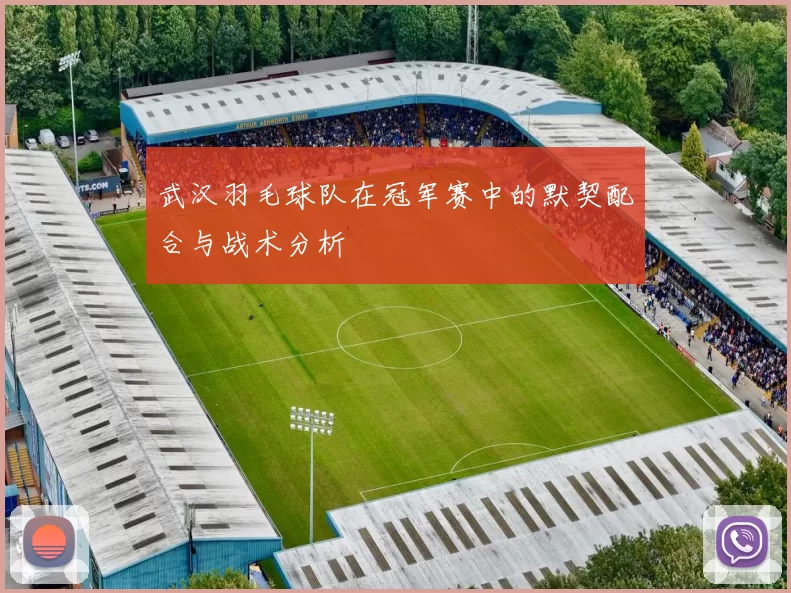 武汉羽毛球队在冠军赛中的默契配合与战术分析