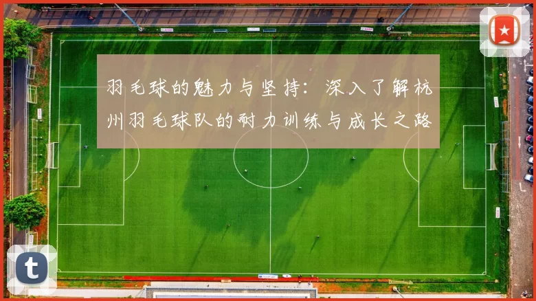 羽毛球的魅力与坚持：深入了解杭州羽毛球队的耐力训练与成长之路