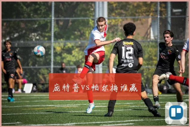 庞特普vs帕尔梅谁赢