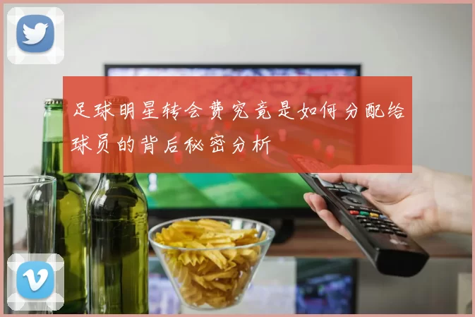足球明星转会费究竟是如何分配给球员的背后秘密分析