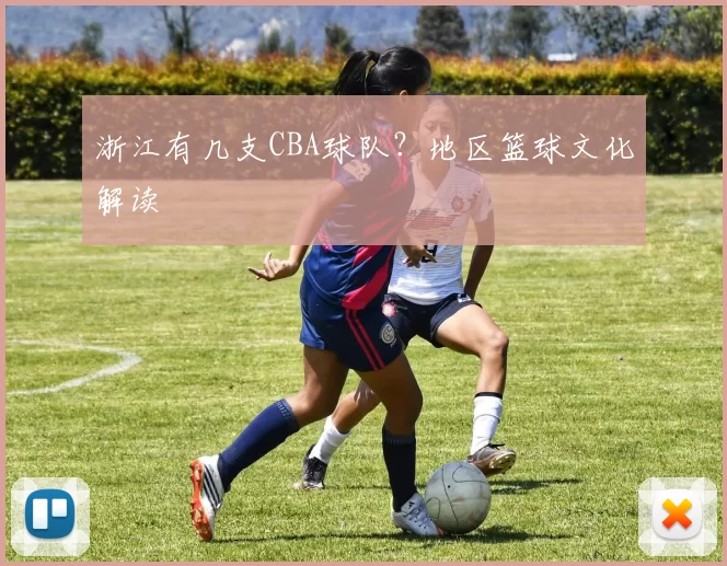 浙江有几支CBA球队？地区篮球文化解读