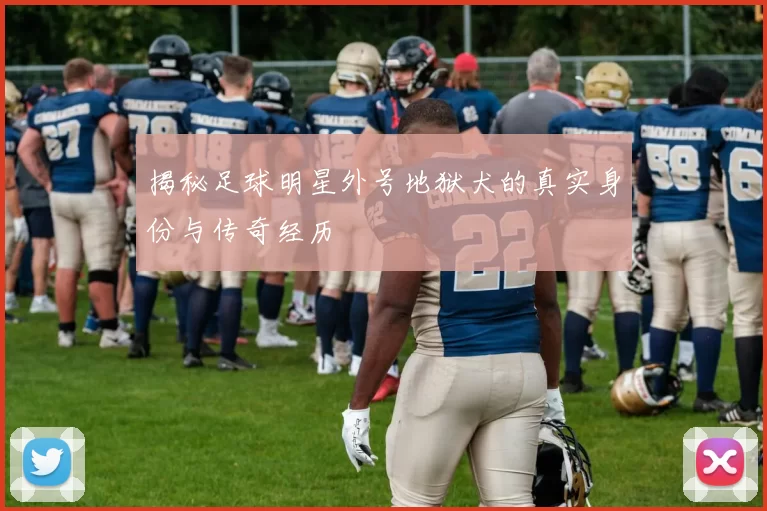 揭秘足球明星外号地狱犬的真实身份与传奇经历