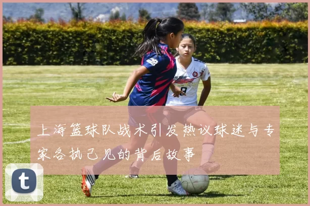 上海篮球队战术引发热议球迷与专家各执己见的背后故事