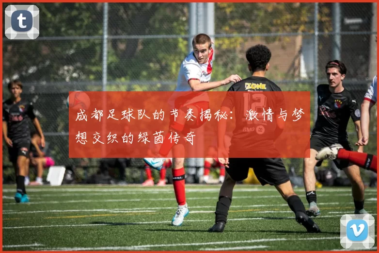 成都足球队的节奏揭秘：激情与梦想交织的绿茵传奇