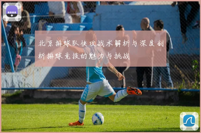 北京排球队快攻战术解析与深度剖析排球竞技的魅力与挑战
