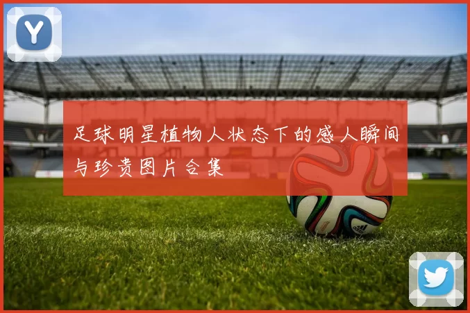 足球明星植物人状态下的感人瞬间与珍贵图片合集