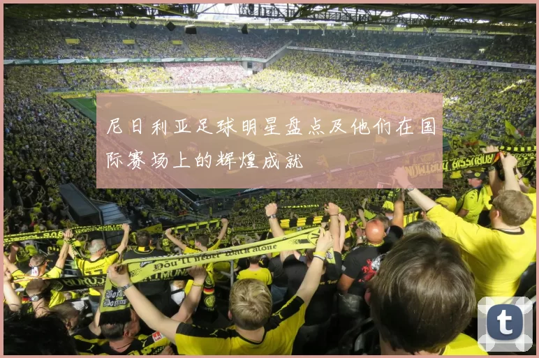 尼日利亚足球明星盘点及他们在国际赛场上的辉煌成就
