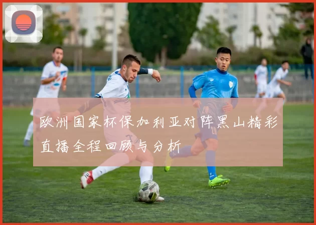 欧洲国家杯保加利亚对阵黑山精彩直播全程回顾与分析