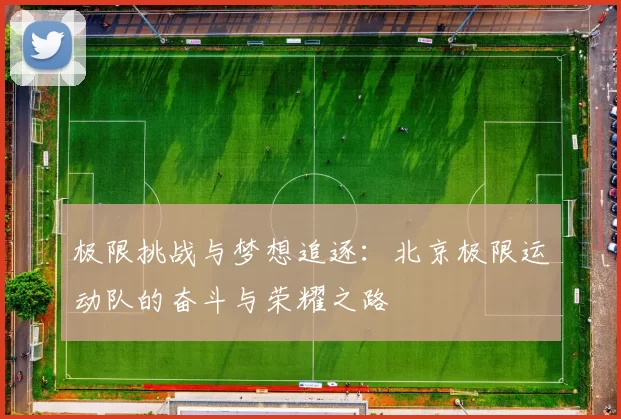 极限挑战与梦想追逐：北京极限运动队的奋斗与荣耀之路