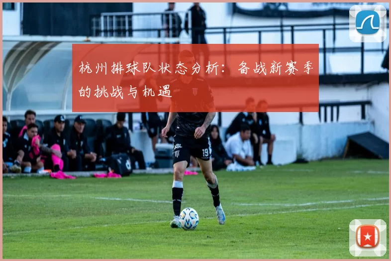 杭州排球队状态分析：备战新赛季的挑战与机遇