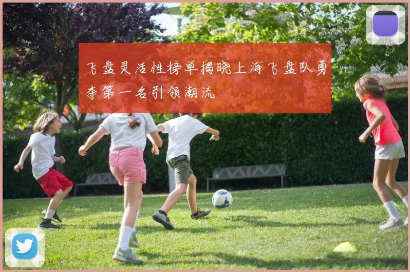 飞盘灵活性榜单揭晓上海飞盘队勇夺第一名引领潮流