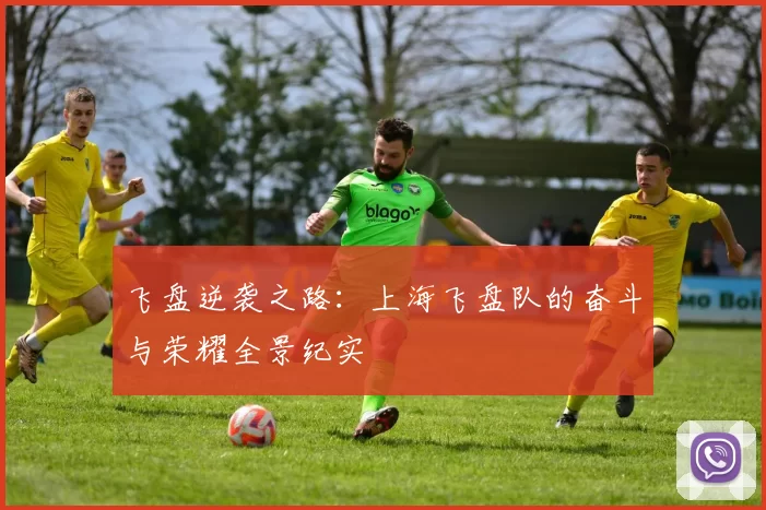 飞盘逆袭之路：上海飞盘队的奋斗与荣耀全景纪实