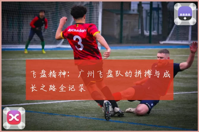 飞盘精神：广州飞盘队的拼搏与成长之路全记录