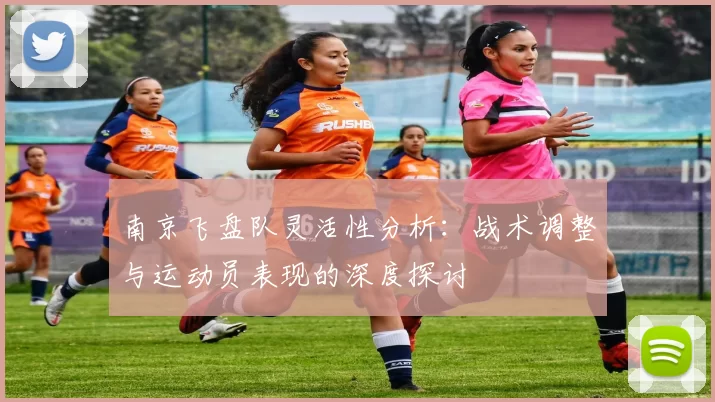 南京飞盘队灵活性分析：战术调整与运动员表现的深度探讨