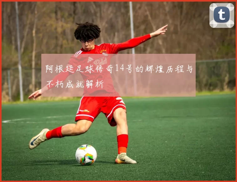 阿根廷足球传奇14号的辉煌历程与不朽成就解析