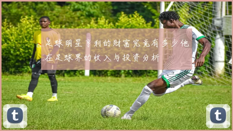 足球明星亨利的财富究竟有多少他在足球界的收入与投资分析